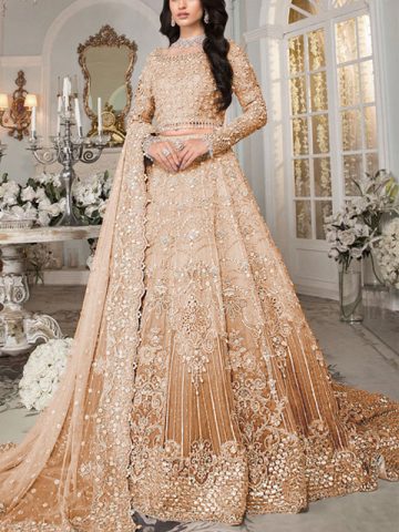 Golden net dresses pakistani hotsell