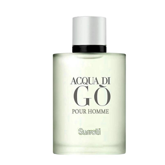 Spray Aqua Di Go Pour Homme 100 ml by Surrati