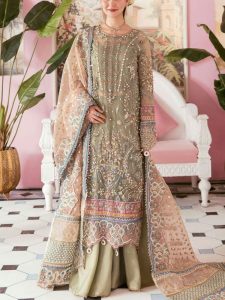 ORGANZA Embroidered Party Wear Dress With Cut Work Organza Embroidered Dupatta (Unstitched) (Code:33072)